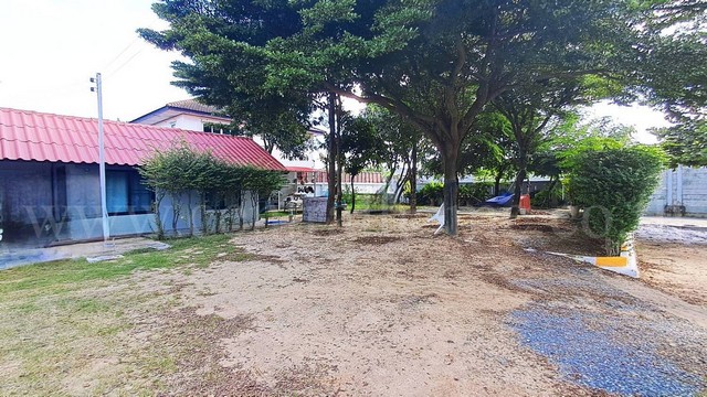 ประกาศฟรี! ซื้อ-ขาย-เช่า คอนโด บ้าน ทาวน์โฮม ที่ดิน และพื้นที่เชิงพาณิชย์ทั่วประเทศไทย ทุกทำเล ทุกงบประมาณ ไม่มีค่าใช้จ่าย ลงง่าย ขายไว เข้าถึงผู้ซื้อโดยตรง 2 292227pic1.jpg