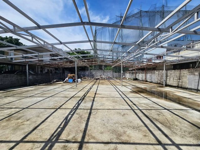 ประกาศฟรี! ซื้อ-ขาย-เช่า คอนโด บ้าน ทาวน์โฮม ที่ดิน และพื้นที่เชิงพาณิชย์ทั่วประเทศไทย ทุกทำเล ทุกงบประมาณ ไม่มีค่าใช้จ่าย ลงง่าย ขายไว เข้าถึงผู้ซื้อโดยตรง 2 506397pic1.jpg