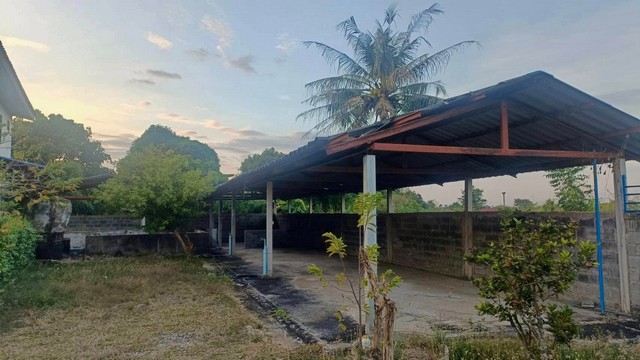 ประกาศฟรี! ซื้อ-ขาย-เช่า คอนโด บ้าน ทาวน์โฮม ที่ดิน และพื้นที่เชิงพาณิชย์ทั่วประเทศไทย ทุกทำเล ทุกงบประมาณ ไม่มีค่าใช้จ่าย ลงง่าย ขายไว เข้าถึงผู้ซื้อโดยตรง 3 309508pic2.jpg