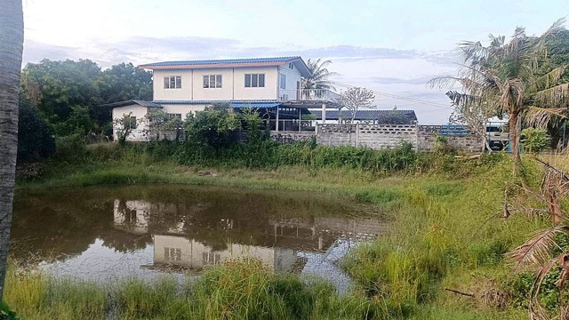 ประกาศฟรี! ซื้อ-ขาย-เช่า คอนโด บ้าน ทาวน์โฮม ที่ดิน และพื้นที่เชิงพาณิชย์ทั่วประเทศไทย ทุกทำเล ทุกงบประมาณ ไม่มีค่าใช้จ่าย ลงง่าย ขายไว เข้าถึงผู้ซื้อโดยตรง 4 309508pic3.jpg