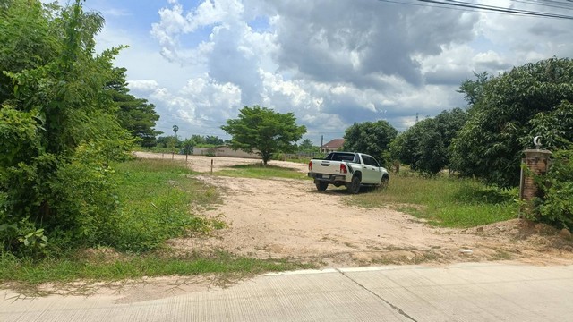 ประกาศฟรี! ซื้อ-ขาย-เช่า คอนโด บ้าน ทาวน์โฮม ที่ดิน และพื้นที่เชิงพาณิชย์ทั่วประเทศไทย ทุกทำเล ทุกงบประมาณ ไม่มีค่าใช้จ่าย ลงง่าย ขายไว เข้าถึงผู้ซื้อโดยตรง 5 309508pic4.jpg