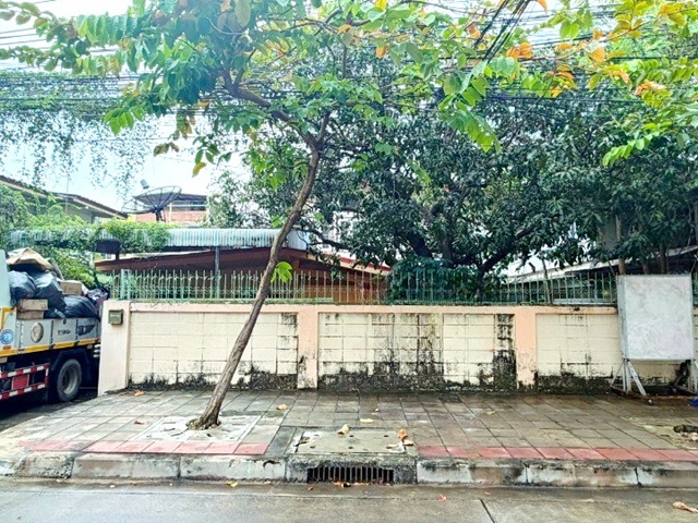 ประกาศฟรี! ซื้อ-ขาย-เช่า คอนโด บ้าน ทาวน์โฮม ที่ดิน และพื้นที่เชิงพาณิชย์ทั่วประเทศไทย ทุกทำเล ทุกงบประมาณ ไม่มีค่าใช้จ่าย ลงง่าย ขายไว เข้าถึงผู้ซื้อโดยตรง 2 239104pic1.jpg