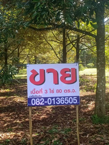 ประกาศฟรี! ซื้อ-ขาย-เช่า คอนโด บ้าน ทาวน์โฮม ที่ดิน และพื้นที่เชิงพาณิชย์ทั่วประเทศไทย ทุกทำเล ทุกงบประมาณ ไม่มีค่าใช้จ่าย ลงง่าย ขายไว เข้าถึงผู้ซื้อโดยตรง 4 292718pic3.jpg