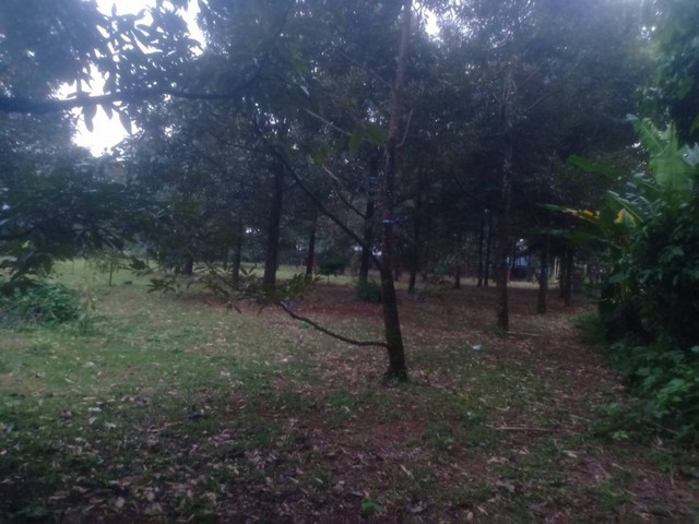 ประกาศฟรี! ซื้อ-ขาย-เช่า คอนโด บ้าน ทาวน์โฮม ที่ดิน และพื้นที่เชิงพาณิชย์ทั่วประเทศไทย ทุกทำเล ทุกงบประมาณ ไม่มีค่าใช้จ่าย ลงง่าย ขายไว เข้าถึงผู้ซื้อโดยตรง 5 292718pic4.jpg