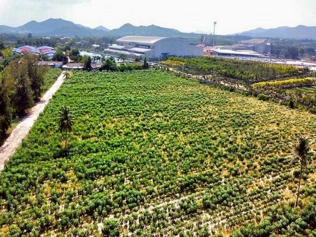 ประกาศฟรี! ซื้อ-ขาย-เช่า คอนโด บ้าน ทาวน์โฮม ที่ดิน และพื้นที่เชิงพาณิชย์ทั่วประเทศไทย ทุกทำเล ทุกงบประมาณ ไม่มีค่าใช้จ่าย ลงง่าย ขายไว เข้าถึงผู้ซื้อโดยตรง 2 309281pic1.jpg