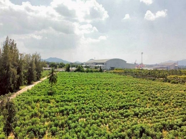 ประกาศฟรี! ซื้อ-ขาย-เช่า คอนโด บ้าน ทาวน์โฮม ที่ดิน และพื้นที่เชิงพาณิชย์ทั่วประเทศไทย ทุกทำเล ทุกงบประมาณ ไม่มีค่าใช้จ่าย ลงง่าย ขายไว เข้าถึงผู้ซื้อโดยตรง 4 309281pic3.jpg