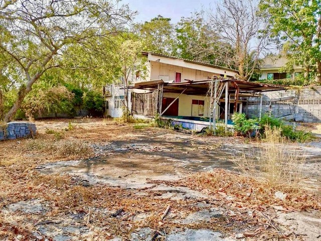 ประกาศฟรี! ซื้อ-ขาย-เช่า คอนโด บ้าน ทาวน์โฮม ที่ดิน และพื้นที่เชิงพาณิชย์ทั่วประเทศไทย ทุกทำเล ทุกงบประมาณ ไม่มีค่าใช้จ่าย ลงง่าย ขายไว เข้าถึงผู้ซื้อโดยตรง 2 309104pic1.jpg