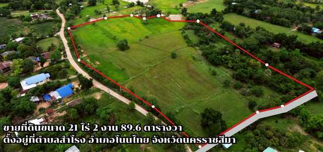 ประกาศฟรี! ซื้อ-ขาย-เช่า คอนโด บ้าน ทาวน์โฮม ที่ดิน และพื้นที่เชิงพาณิชย์ทั่วประเทศไทย ทุกทำเล ทุกงบประมาณ ไม่มีค่าใช้จ่าย ลงง่าย ขายไว เข้าถึงผู้ซื้อโดยตรง 2 238239pic1.jpg