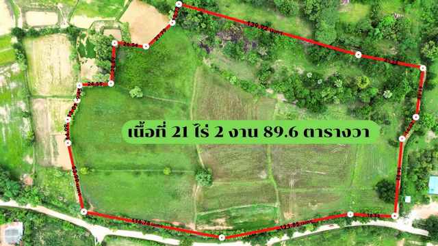 ประกาศฟรี! ซื้อ-ขาย-เช่า คอนโด บ้าน ทาวน์โฮม ที่ดิน และพื้นที่เชิงพาณิชย์ทั่วประเทศไทย ทุกทำเล ทุกงบประมาณ ไม่มีค่าใช้จ่าย ลงง่าย ขายไว เข้าถึงผู้ซื้อโดยตรง 4 238239pic3.jpg