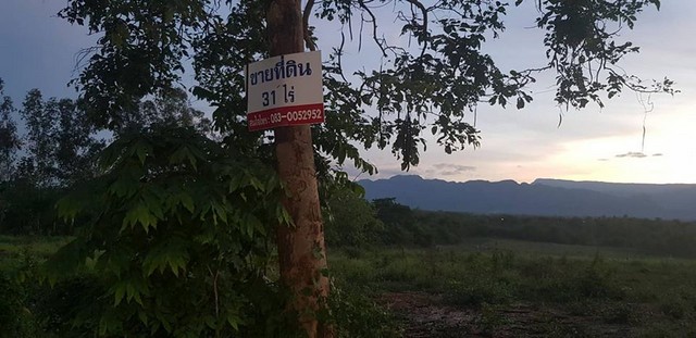 ประกาศฟรี! ซื้อ-ขาย-เช่า คอนโด บ้าน ทาวน์โฮม ที่ดิน และพื้นที่เชิงพาณิชย์ทั่วประเทศไทย ทุกทำเล ทุกงบประมาณ ไม่มีค่าใช้จ่าย ลงง่าย ขายไว เข้าถึงผู้ซื้อโดยตรง 5 7367pic4.jpg