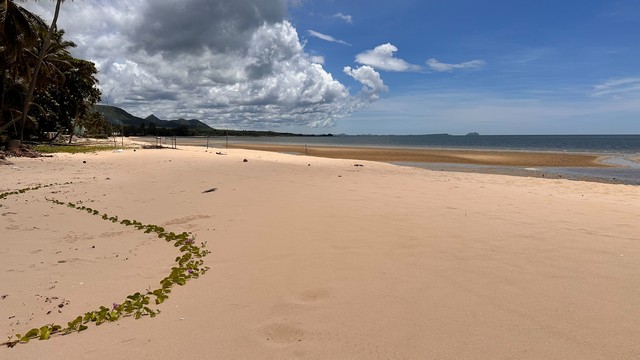 ประกาศฟรี! ซื้อ-ขาย-เช่า คอนโด บ้าน ทาวน์โฮม ที่ดิน และพื้นที่เชิงพาณิชย์ทั่วประเทศไทย ทุกทำเล ทุกงบประมาณ ไม่มีค่าใช้จ่าย ลงง่าย ขายไว เข้าถึงผู้ซื้อโดยตรง 2 7365pic1.jpg