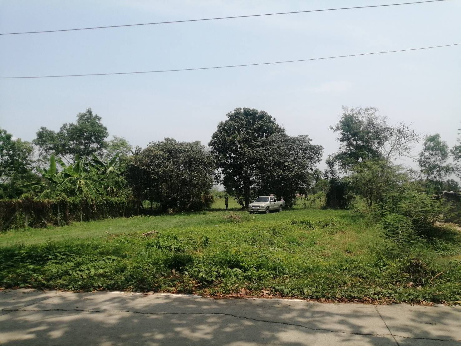 ประกาศฟรี! ซื้อ-ขาย-เช่า คอนโด บ้าน ทาวน์โฮม ที่ดิน และพื้นที่เชิงพาณิชย์ทั่วประเทศไทย ทุกทำเล ทุกงบประมาณ ไม่มีค่าใช้จ่าย ลงง่าย ขายไว เข้าถึงผู้ซื้อโดยตรง 6 line_oa_chat_251121_161729.jpg