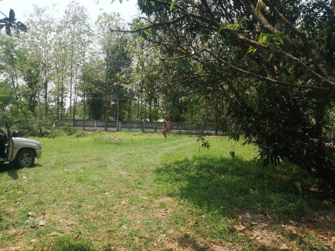 ประกาศฟรี! ซื้อ-ขาย-เช่า คอนโด บ้าน ทาวน์โฮม ที่ดิน และพื้นที่เชิงพาณิชย์ทั่วประเทศไทย ทุกทำเล ทุกงบประมาณ ไม่มีค่าใช้จ่าย ลงง่าย ขายไว เข้าถึงผู้ซื้อโดยตรง 7 line_oa_chat_251121_161731.jpg