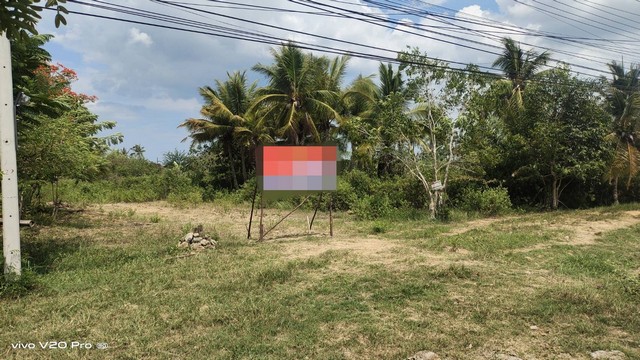 ประกาศฟรี! ซื้อ-ขาย-เช่า คอนโด บ้าน ทาวน์โฮม ที่ดิน และพื้นที่เชิงพาณิชย์ทั่วประเทศไทย ทุกทำเล ทุกงบประมาณ ไม่มีค่าใช้จ่าย ลงง่าย ขายไว เข้าถึงผู้ซื้อโดยตรง 2 238324pic1.jpg