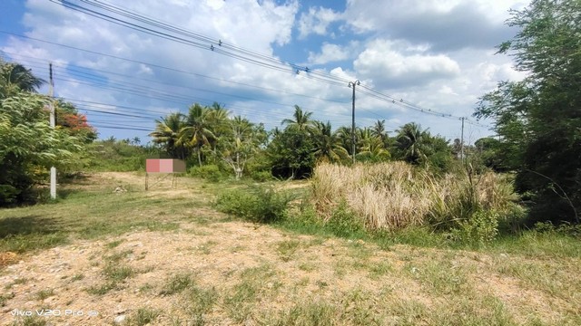 ประกาศฟรี! ซื้อ-ขาย-เช่า คอนโด บ้าน ทาวน์โฮม ที่ดิน และพื้นที่เชิงพาณิชย์ทั่วประเทศไทย ทุกทำเล ทุกงบประมาณ ไม่มีค่าใช้จ่าย ลงง่าย ขายไว เข้าถึงผู้ซื้อโดยตรง 3 238324pic2.jpg