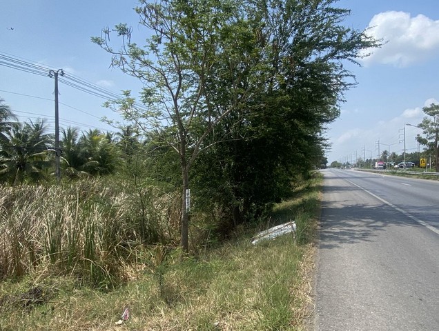 ประกาศฟรี! ซื้อ-ขาย-เช่า คอนโด บ้าน ทาวน์โฮม ที่ดิน และพื้นที่เชิงพาณิชย์ทั่วประเทศไทย ทุกทำเล ทุกงบประมาณ ไม่มีค่าใช้จ่าย ลงง่าย ขายไว เข้าถึงผู้ซื้อโดยตรง 5 238324pic4.jpg