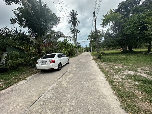 ประกาศฟรี! ซื้อ-ขาย-เช่า คอนโด บ้าน ทาวน์โฮม ที่ดิน และพื้นที่เชิงพาณิชย์ทั่วประเทศไทย ทุกทำเล ทุกงบประมาณ ไม่มีค่าใช้จ่าย ลงง่าย ขายไว เข้าถึงผู้ซื้อโดยตรง 3 11636pic2.jpg