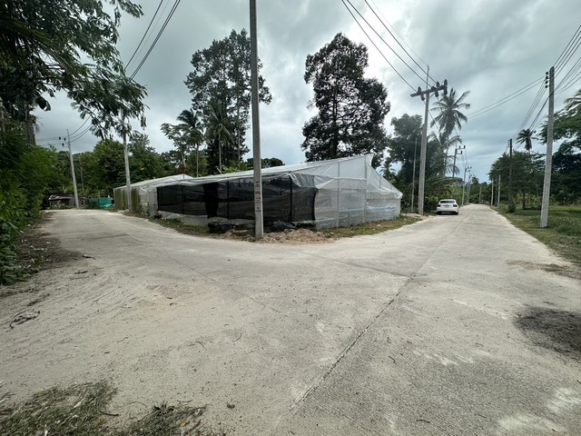 ประกาศฟรี! ซื้อ-ขาย-เช่า คอนโด บ้าน ทาวน์โฮม ที่ดิน และพื้นที่เชิงพาณิชย์ทั่วประเทศไทย ทุกทำเล ทุกงบประมาณ ไม่มีค่าใช้จ่าย ลงง่าย ขายไว เข้าถึงผู้ซื้อโดยตรง 4 11636pic3.jpg