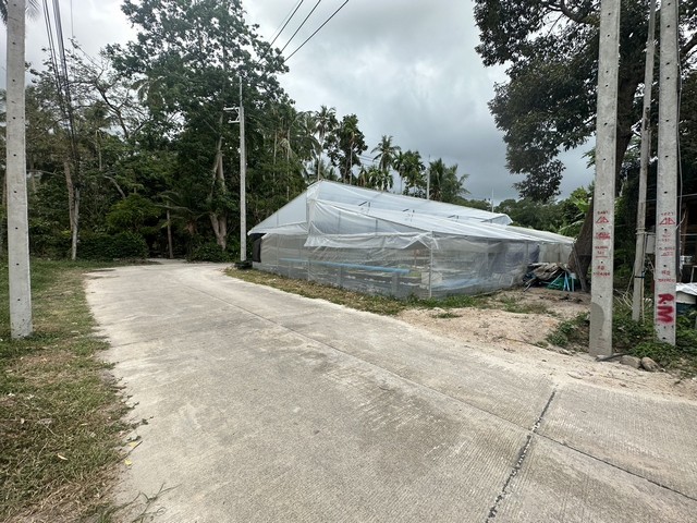 ประกาศฟรี! ซื้อ-ขาย-เช่า คอนโด บ้าน ทาวน์โฮม ที่ดิน และพื้นที่เชิงพาณิชย์ทั่วประเทศไทย ทุกทำเล ทุกงบประมาณ ไม่มีค่าใช้จ่าย ลงง่าย ขายไว เข้าถึงผู้ซื้อโดยตรง 5 11636pic4.jpg