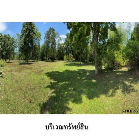 ประกาศฟรี! ซื้อ-ขาย-เช่า คอนโด บ้าน ทาวน์โฮม ที่ดิน และพื้นที่เชิงพาณิชย์ทั่วประเทศไทย ทุกทำเล ทุกงบประมาณ ไม่มีค่าใช้จ่าย ลงง่าย ขายไว เข้าถึงผู้ซื้อโดยตรง 5 225877pic4.jpg