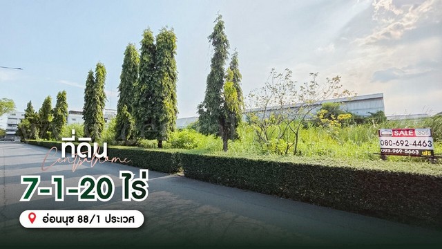 ประกาศฟรี! ซื้อ-ขาย-เช่า คอนโด บ้าน ทาวน์โฮม ที่ดิน และพื้นที่เชิงพาณิชย์ทั่วประเทศไทย ทุกทำเล ทุกงบประมาณ ไม่มีค่าใช้จ่าย ลงง่าย ขายไว เข้าถึงผู้ซื้อโดยตรง 4 291457pic3.jpg