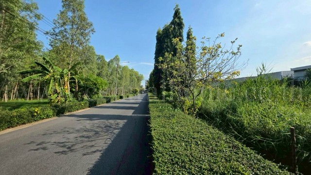 ประกาศฟรี! ซื้อ-ขาย-เช่า คอนโด บ้าน ทาวน์โฮม ที่ดิน และพื้นที่เชิงพาณิชย์ทั่วประเทศไทย ทุกทำเล ทุกงบประมาณ ไม่มีค่าใช้จ่าย ลงง่าย ขายไว เข้าถึงผู้ซื้อโดยตรง 5 291457pic4.jpg