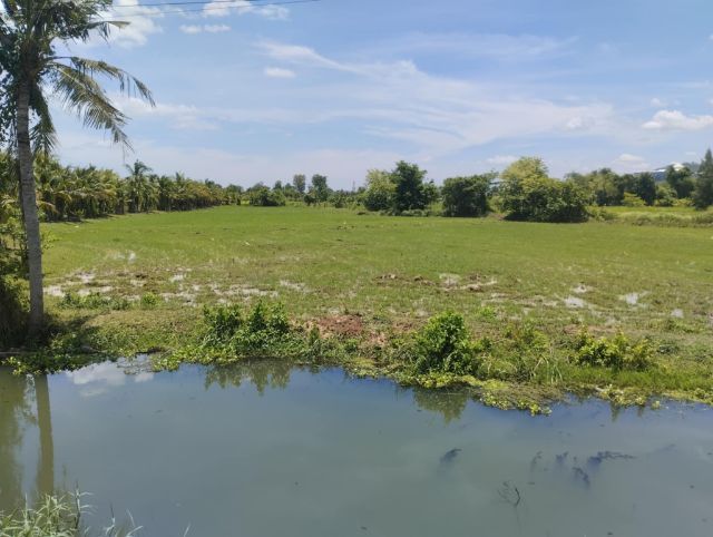 ประกาศฟรี! ซื้อ-ขาย-เช่า คอนโด บ้าน ทาวน์โฮม ที่ดิน และพื้นที่เชิงพาณิชย์ทั่วประเทศไทย ทุกทำเล ทุกงบประมาณ ไม่มีค่าใช้จ่าย ลงง่าย ขายไว เข้าถึงผู้ซื้อโดยตรง 2 309827pic1.jpg