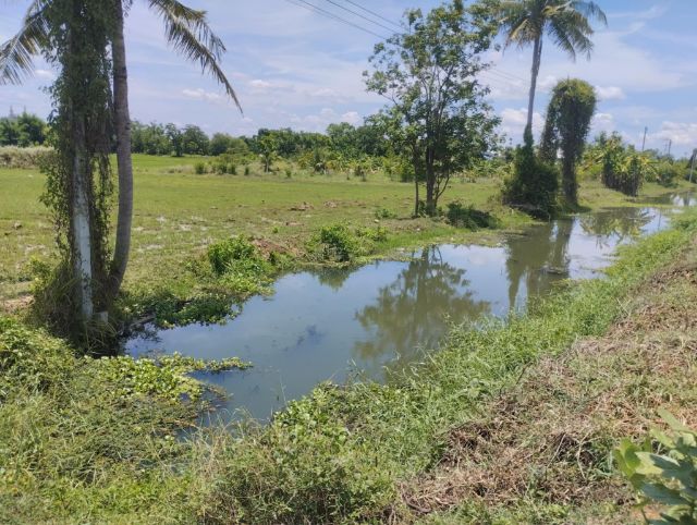 ประกาศฟรี! ซื้อ-ขาย-เช่า คอนโด บ้าน ทาวน์โฮม ที่ดิน และพื้นที่เชิงพาณิชย์ทั่วประเทศไทย ทุกทำเล ทุกงบประมาณ ไม่มีค่าใช้จ่าย ลงง่าย ขายไว เข้าถึงผู้ซื้อโดยตรง 4 309827pic3.jpg