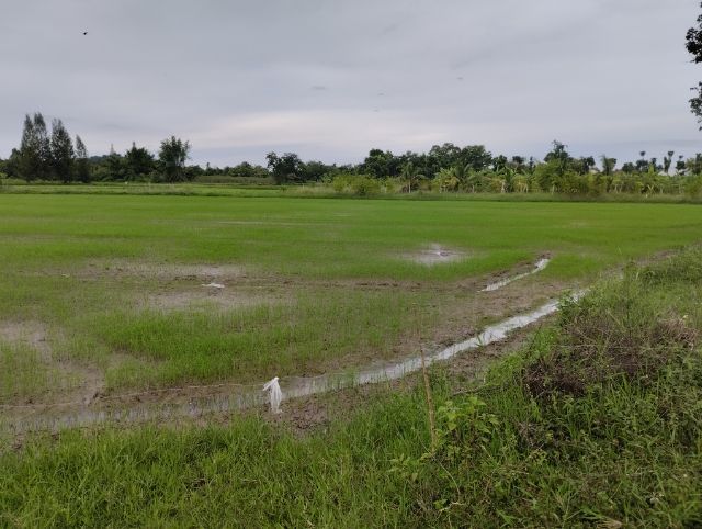 ประกาศฟรี! ซื้อ-ขาย-เช่า คอนโด บ้าน ทาวน์โฮม ที่ดิน และพื้นที่เชิงพาณิชย์ทั่วประเทศไทย ทุกทำเล ทุกงบประมาณ ไม่มีค่าใช้จ่าย ลงง่าย ขายไว เข้าถึงผู้ซื้อโดยตรง 5 309827pic4.jpg