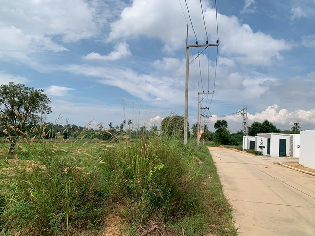 ประกาศฟรี! ซื้อ-ขาย-เช่า คอนโด บ้าน ทาวน์โฮม ที่ดิน และพื้นที่เชิงพาณิชย์ทั่วประเทศไทย ทุกทำเล ทุกงบประมาณ ไม่มีค่าใช้จ่าย ลงง่าย ขายไว เข้าถึงผู้ซื้อโดยตรง 4 506689pic3.jpg