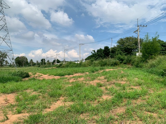 ประกาศฟรี! ซื้อ-ขาย-เช่า คอนโด บ้าน ทาวน์โฮม ที่ดิน และพื้นที่เชิงพาณิชย์ทั่วประเทศไทย ทุกทำเล ทุกงบประมาณ ไม่มีค่าใช้จ่าย ลงง่าย ขายไว เข้าถึงผู้ซื้อโดยตรง 5 506689pic4.jpg