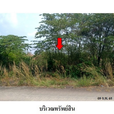 ประกาศฟรี! ซื้อ-ขาย-เช่า คอนโด บ้าน ทาวน์โฮม ที่ดิน และพื้นที่เชิงพาณิชย์ทั่วประเทศไทย ทุกทำเล ทุกงบประมาณ ไม่มีค่าใช้จ่าย ลงง่าย ขายไว เข้าถึงผู้ซื้อโดยตรง 2 226049pic1.jpg