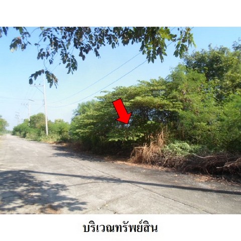 ประกาศฟรี! ซื้อ-ขาย-เช่า คอนโด บ้าน ทาวน์โฮม ที่ดิน และพื้นที่เชิงพาณิชย์ทั่วประเทศไทย ทุกทำเล ทุกงบประมาณ ไม่มีค่าใช้จ่าย ลงง่าย ขายไว เข้าถึงผู้ซื้อโดยตรง 3 226049pic2.jpg