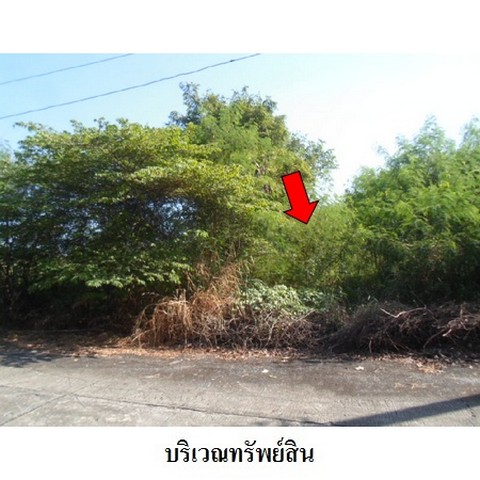 ประกาศฟรี! ซื้อ-ขาย-เช่า คอนโด บ้าน ทาวน์โฮม ที่ดิน และพื้นที่เชิงพาณิชย์ทั่วประเทศไทย ทุกทำเล ทุกงบประมาณ ไม่มีค่าใช้จ่าย ลงง่าย ขายไว เข้าถึงผู้ซื้อโดยตรง 4 226049pic3.jpg