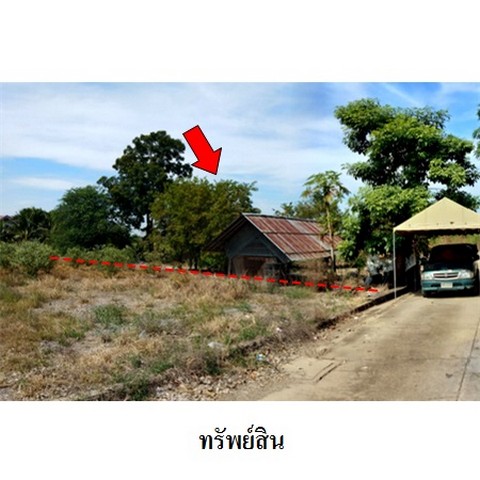 ประกาศฟรี! ซื้อ-ขาย-เช่า คอนโด บ้าน ทาวน์โฮม ที่ดิน และพื้นที่เชิงพาณิชย์ทั่วประเทศไทย ทุกทำเล ทุกงบประมาณ ไม่มีค่าใช้จ่าย ลงง่าย ขายไว เข้าถึงผู้ซื้อโดยตรง 5 226046pic4.jpg