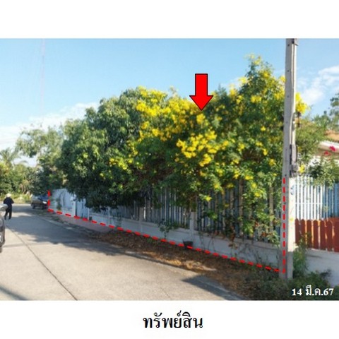 ประกาศฟรี! ซื้อ-ขาย-เช่า คอนโด บ้าน ทาวน์โฮม ที่ดิน และพื้นที่เชิงพาณิชย์ทั่วประเทศไทย ทุกทำเล ทุกงบประมาณ ไม่มีค่าใช้จ่าย ลงง่าย ขายไว เข้าถึงผู้ซื้อโดยตรง 3 225978pic2.jpg