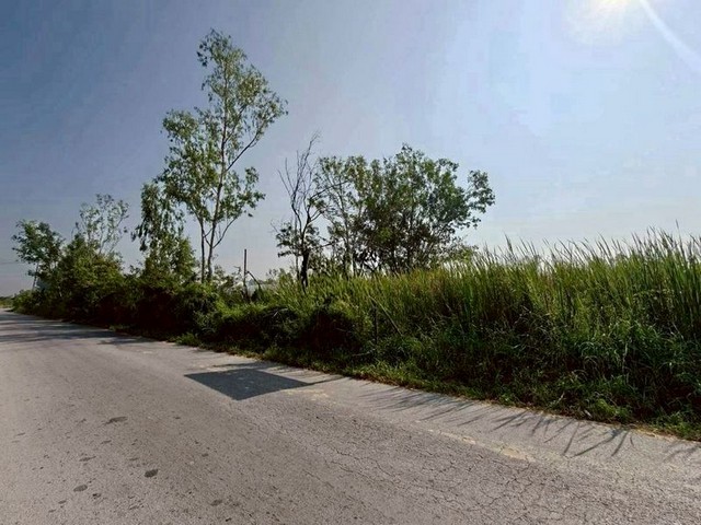 ประกาศฟรี! ซื้อ-ขาย-เช่า คอนโด บ้าน ทาวน์โฮม ที่ดิน และพื้นที่เชิงพาณิชย์ทั่วประเทศไทย ทุกทำเล ทุกงบประมาณ ไม่มีค่าใช้จ่าย ลงง่าย ขายไว เข้าถึงผู้ซื้อโดยตรง 3 239637pic2.jpg