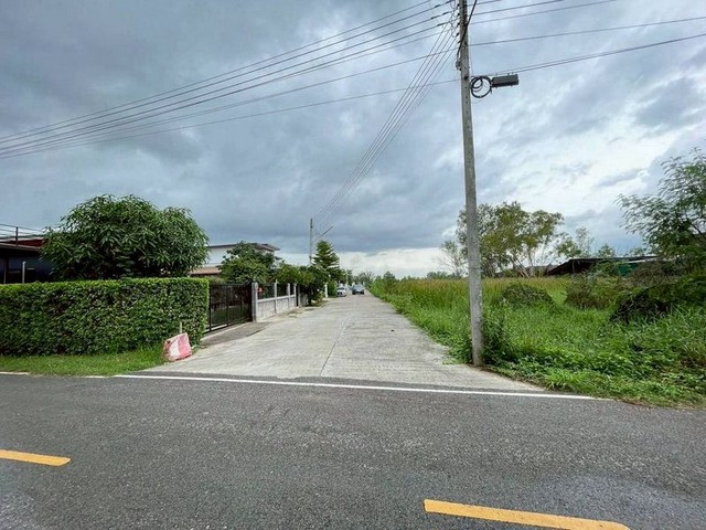 ประกาศฟรี! ซื้อ-ขาย-เช่า คอนโด บ้าน ทาวน์โฮม ที่ดิน และพื้นที่เชิงพาณิชย์ทั่วประเทศไทย ทุกทำเล ทุกงบประมาณ ไม่มีค่าใช้จ่าย ลงง่าย ขายไว เข้าถึงผู้ซื้อโดยตรง 5 239637pic4.jpg