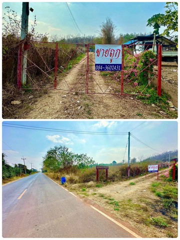 ประกาศฟรี! ซื้อ-ขาย-เช่า คอนโด บ้าน ทาวน์โฮม ที่ดิน และพื้นที่เชิงพาณิชย์ทั่วประเทศไทย ทุกทำเล ทุกงบประมาณ ไม่มีค่าใช้จ่าย ลงง่าย ขายไว เข้าถึงผู้ซื้อโดยตรง 2 240228pic1.jpg