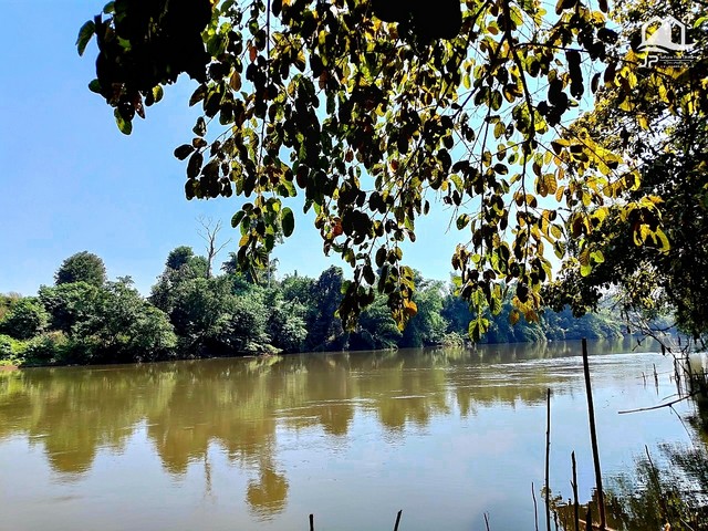 ประกาศฟรี! ซื้อ-ขาย-เช่า คอนโด บ้าน ทาวน์โฮม ที่ดิน และพื้นที่เชิงพาณิชย์ทั่วประเทศไทย ทุกทำเล ทุกงบประมาณ ไม่มีค่าใช้จ่าย ลงง่าย ขายไว เข้าถึงผู้ซื้อโดยตรง 5 444991pic4.jpg