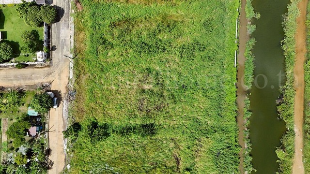 ประกาศฟรี! ซื้อ-ขาย-เช่า คอนโด บ้าน ทาวน์โฮม ที่ดิน และพื้นที่เชิงพาณิชย์ทั่วประเทศไทย ทุกทำเล ทุกงบประมาณ ไม่มีค่าใช้จ่าย ลงง่าย ขายไว เข้าถึงผู้ซื้อโดยตรง 3 291630pic2.jpg