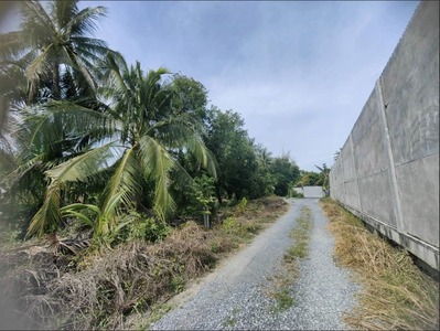 ประกาศฟรี! ซื้อ-ขาย-เช่า คอนโด บ้าน ทาวน์โฮม ที่ดิน และพื้นที่เชิงพาณิชย์ทั่วประเทศไทย ทุกทำเล ทุกงบประมาณ ไม่มีค่าใช้จ่าย ลงง่าย ขายไว เข้าถึงผู้ซื้อโดยตรง 2 292641pic1.jpg