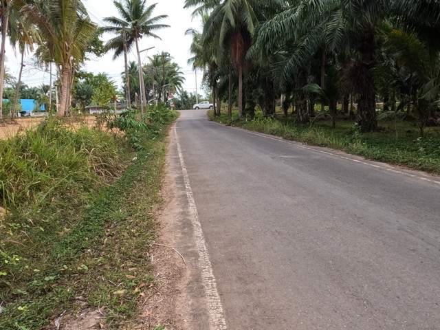 ประกาศฟรี! ซื้อ-ขาย-เช่า คอนโด บ้าน ทาวน์โฮม ที่ดิน และพื้นที่เชิงพาณิชย์ทั่วประเทศไทย ทุกทำเล ทุกงบประมาณ ไม่มีค่าใช้จ่าย ลงง่าย ขายไว เข้าถึงผู้ซื้อโดยตรง 2 294468pic1.jpg