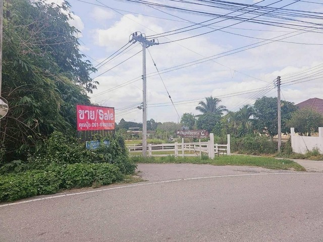 ประกาศฟรี! ซื้อ-ขาย-เช่า คอนโด บ้าน ทาวน์โฮม ที่ดิน และพื้นที่เชิงพาณิชย์ทั่วประเทศไทย ทุกทำเล ทุกงบประมาณ ไม่มีค่าใช้จ่าย ลงง่าย ขายไว เข้าถึงผู้ซื้อโดยตรง 3 310015pic2.jpg