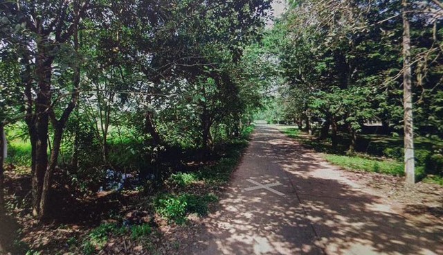 ประกาศฟรี! ซื้อ-ขาย-เช่า คอนโด บ้าน ทาวน์โฮม ที่ดิน และพื้นที่เชิงพาณิชย์ทั่วประเทศไทย ทุกทำเล ทุกงบประมาณ ไม่มีค่าใช้จ่าย ลงง่าย ขายไว เข้าถึงผู้ซื้อโดยตรง 5 11447pic4.jpg