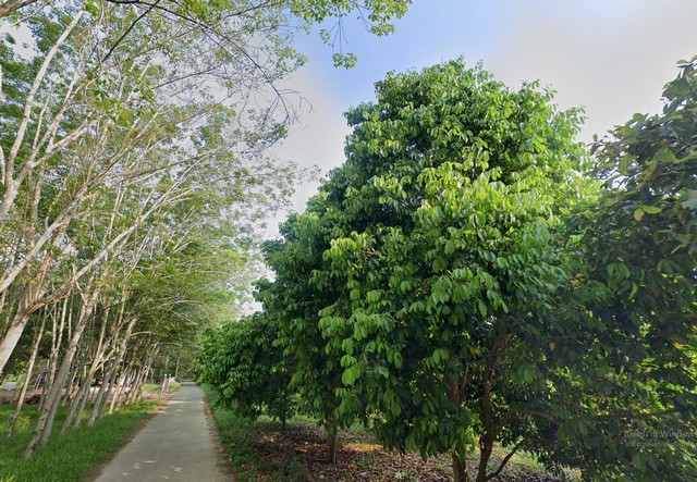 ประกาศฟรี! ซื้อ-ขาย-เช่า คอนโด บ้าน ทาวน์โฮม ที่ดิน และพื้นที่เชิงพาณิชย์ทั่วประเทศไทย ทุกทำเล ทุกงบประมาณ ไม่มีค่าใช้จ่าย ลงง่าย ขายไว เข้าถึงผู้ซื้อโดยตรง 3 225088pic2.jpg