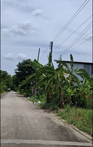 ประกาศฟรี! ซื้อ-ขาย-เช่า คอนโด บ้าน ทาวน์โฮม ที่ดิน และพื้นที่เชิงพาณิชย์ทั่วประเทศไทย ทุกทำเล ทุกงบประมาณ ไม่มีค่าใช้จ่าย ลงง่าย ขายไว เข้าถึงผู้ซื้อโดยตรง 4 223972pic3.jpg