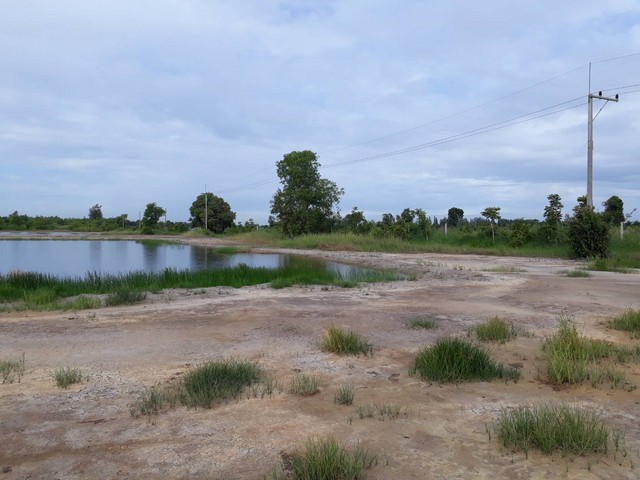 ประกาศฟรี! ซื้อ-ขาย-เช่า คอนโด บ้าน ทาวน์โฮม ที่ดิน และพื้นที่เชิงพาณิชย์ทั่วประเทศไทย ทุกทำเล ทุกงบประมาณ ไม่มีค่าใช้จ่าย ลงง่าย ขายไว เข้าถึงผู้ซื้อโดยตรง 4 11170pic3.jpg