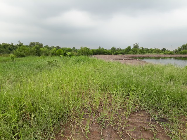 ประกาศฟรี! ซื้อ-ขาย-เช่า คอนโด บ้าน ทาวน์โฮม ที่ดิน และพื้นที่เชิงพาณิชย์ทั่วประเทศไทย ทุกทำเล ทุกงบประมาณ ไม่มีค่าใช้จ่าย ลงง่าย ขายไว เข้าถึงผู้ซื้อโดยตรง 5 11170pic4.jpg