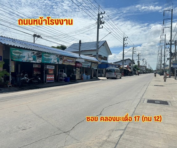 ประกาศฟรี! ซื้อ-ขาย-เช่า คอนโด บ้าน ทาวน์โฮม ที่ดิน และพื้นที่เชิงพาณิชย์ทั่วประเทศไทย ทุกทำเล ทุกงบประมาณ ไม่มีค่าใช้จ่าย ลงง่าย ขายไว เข้าถึงผู้ซื้อโดยตรง 5 310093pic4.jpg